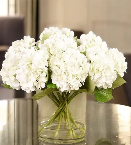 10 White Hydrangea in Glass Vase – Pure Elegance