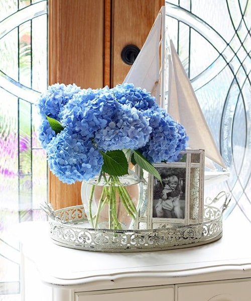 6 Stem Blue Hydrangea With Glass Vase