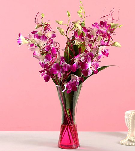 Vibrant Purple Orchid Bunch
