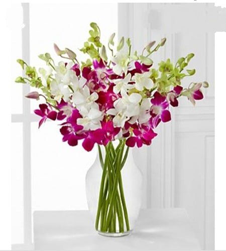 White & Purple Orchids In Glass Vase