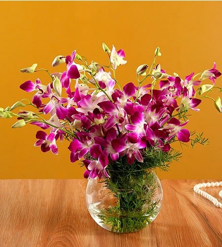 Stunning Purple Orchid Bunch