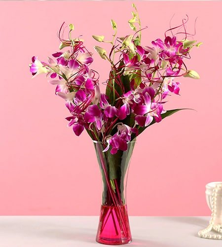 Vibrant Purple Orchid Bunch