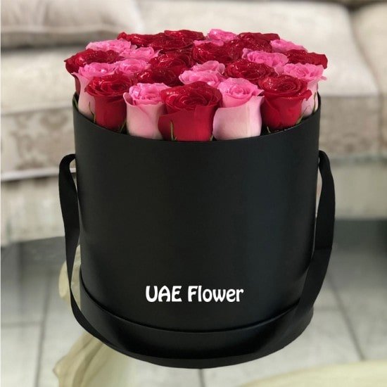 Admirable Red & Pink Box