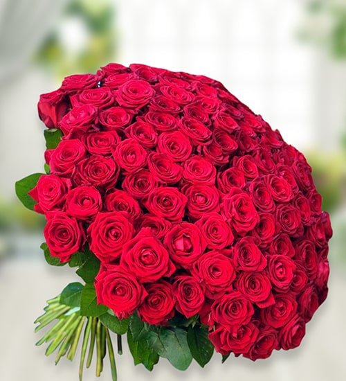 Pleasing Red Roses Bouquet