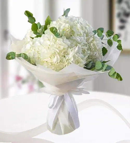 Elegant White Hydrangea Bouquet