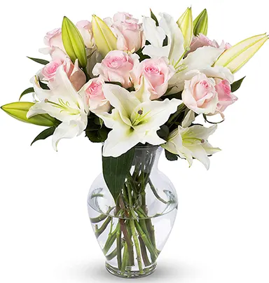 10 Pink Rose 3 Stm Whi...