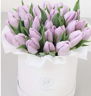 20pc Purple Tulip With Box