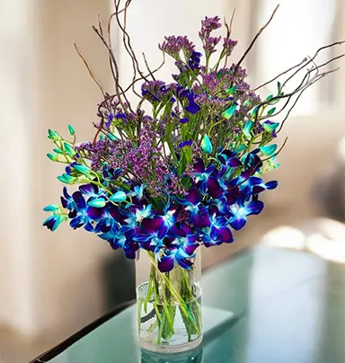 Blue Orchid Storm – Stunning 10 Stems in Gl...