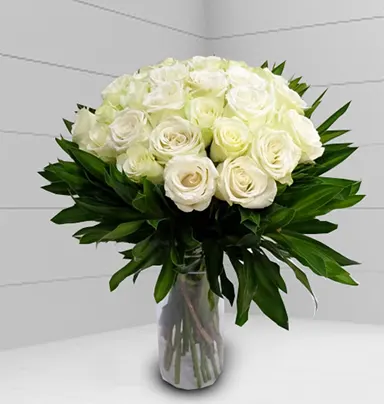 24 Stam White Rose With Green Lives With Glas...