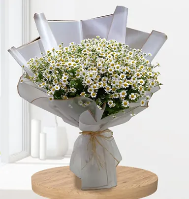 Aster Flowers 10 Stem Bouquet With White Wrap...