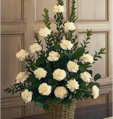Basket Of 18 White Carnation With Green Lives