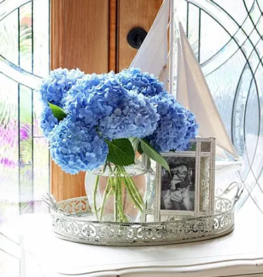 6 Stem Blue Hydrangea With Glass Vase
