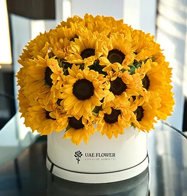 50 Shades of Sunshine – Elegant Flower Box ...