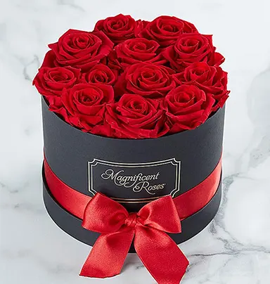 Elegant Red Rose Box