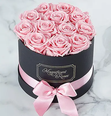 Rich Celebration With ...