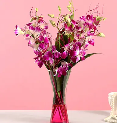Vibrant Purple Orchid Bunch