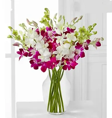 White & Purple Orchids In Glass Vase