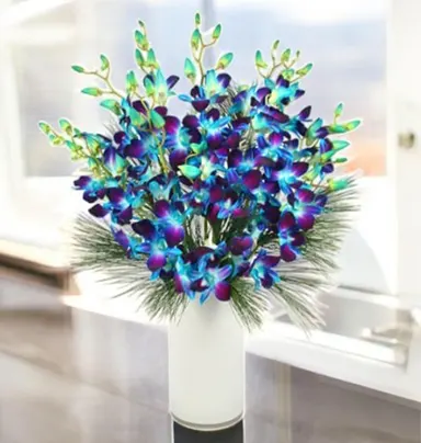 Hearty Orchid Vase Arrangement