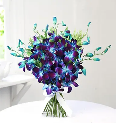 Exotic Beauty Blue Orchids Bouquet