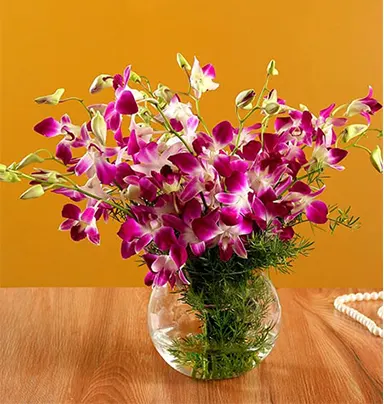 Stunning Purple Orchid Bunch