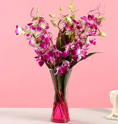 Vibrant Purple Orchid Bunch