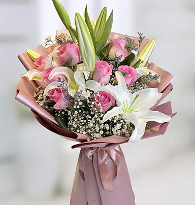 Beautiful Pink Rose An...