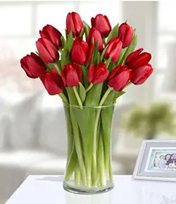 Tulips Love 20