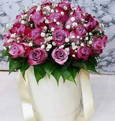 20 Respledent Pink Roses With Flower Box
