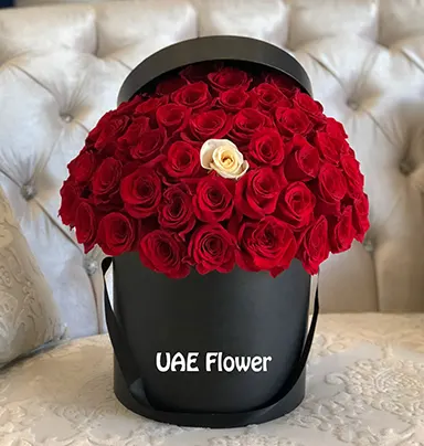 Splendit Anniversary Red ...