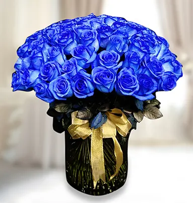 Adorable Blue  Roses Roma...