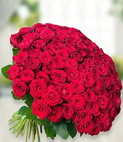 Pleasing Red Roses Bouque...