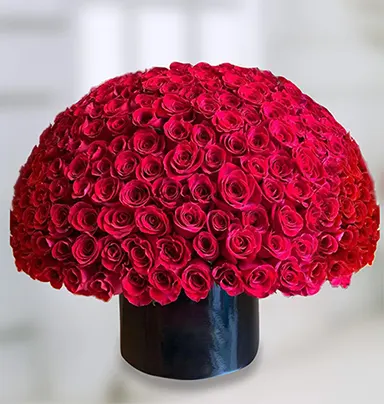 Delightful Red Roses Big ...
