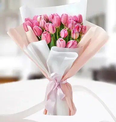 Enchanting Pink Tulip ...