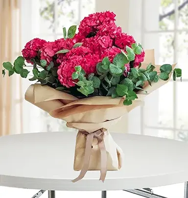 Glorious Red Hydrangea...