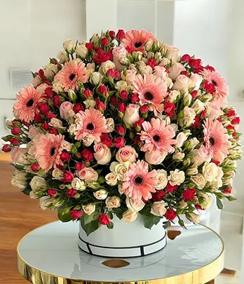 Rose and Pink Gerbera Box - 100 Spray Roses +...