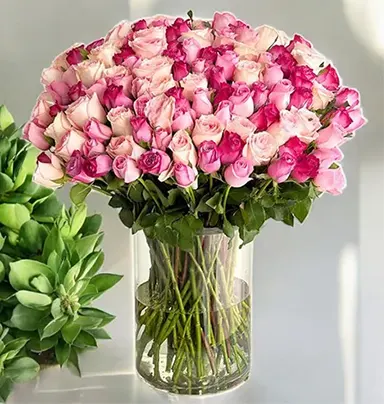 Pink and White Rose Vase - 100 Roses of Pure ...