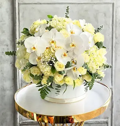 Elegant White Roses and Hydrangea Box - 30 Ro...