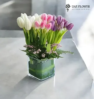 Mix Tulips in Vase - 25 Stunning Blooms