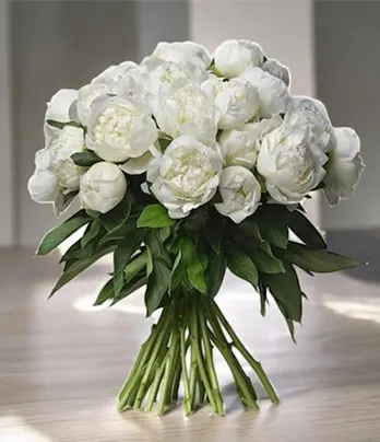 30 White Peonies Bunch with Ruscus and Ribbon...