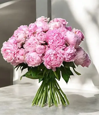 30 Pink Peonies Bunch - Elegance in Every Blo...