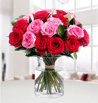 25 Red & Pink Roses Gl...