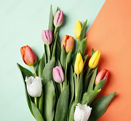 Dubai Gift Online